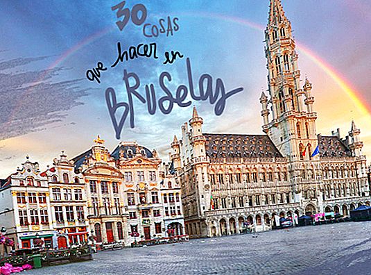 30 THINGS TO SEE AND DO IN BRUSSELS