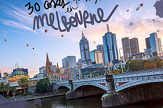 30 THINGS TO SEE AND DO IN MELBOURNE