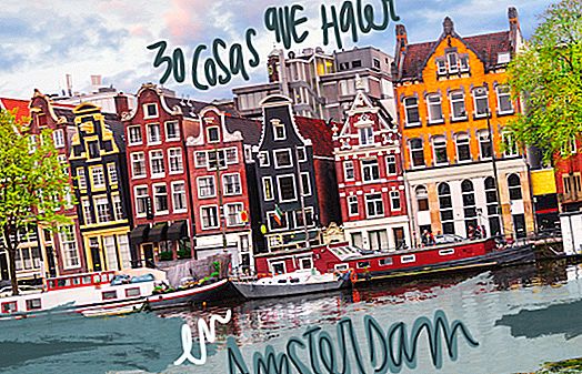 30 Látnivaló és dolgok AMSTERDAM-ban