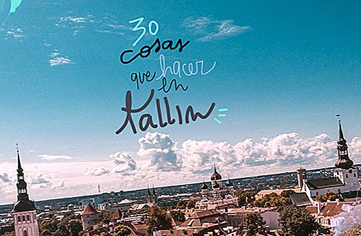 30 ting å se og gjøre i TALLIN