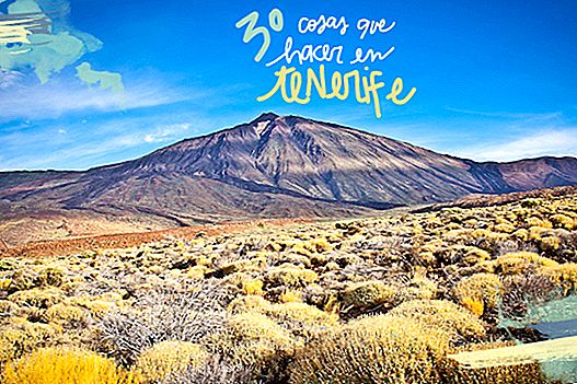 30 THINGS TO SEE AND DO IN TENERIFE