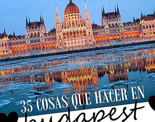 35 DINGE IN BUDAPEST