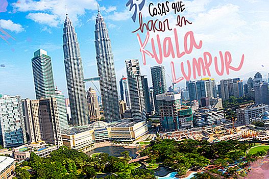 35 вещей, которые нужно сделать в Куала-Лумпуре