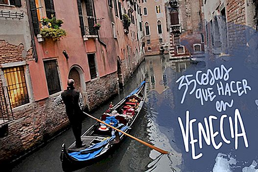 35 THINGS TO SEE AND DO IN VENICE