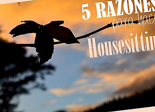 5 REASONS TO DO HOUSESITTING