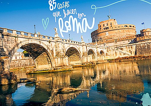85 THINGS TO SEE AND DO IN ROME