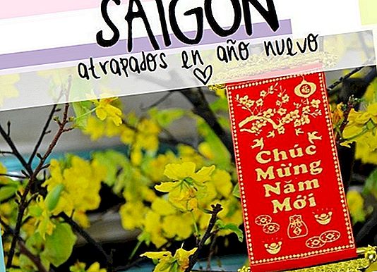 CAUGHT IN SAIGON ("MALVENIDA" IN HO CHI MINH CITY)