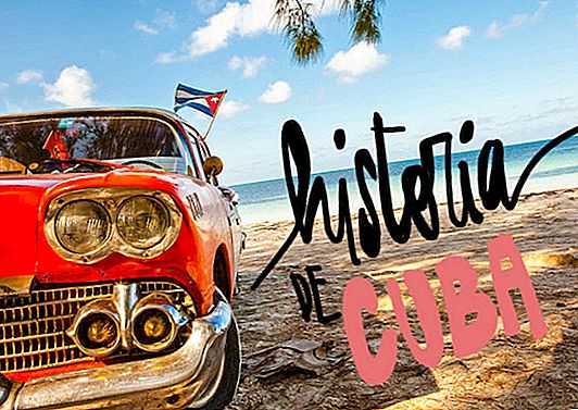 (PAS SI) BREF HISTOIRE DE CUBA