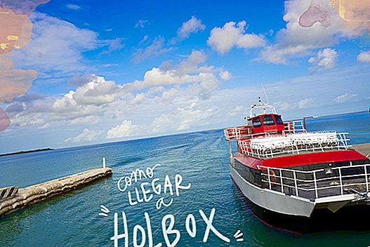 HOW TO GET TO HOLBOX