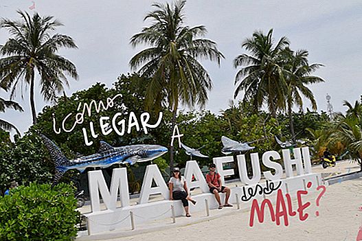 HOW TO GET TO MAAFUSHI FROM MALÉ AND / OR MALÉ AIRPORT