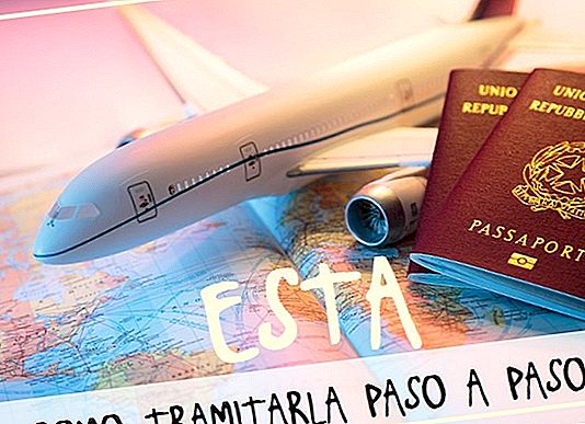 미국 관광 비자를받는 방법 온라인 (ESTA)