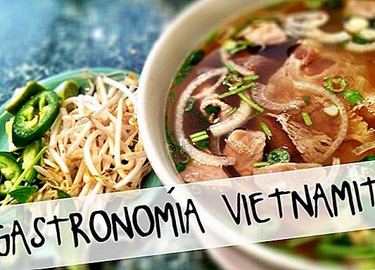 الأكل من فيتنام. دليلنا المعرفي