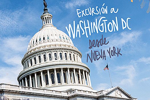 HOW TO GO TO WASHINGTON DC FROM NEW YORK (ONE DAY EXCURSION)
