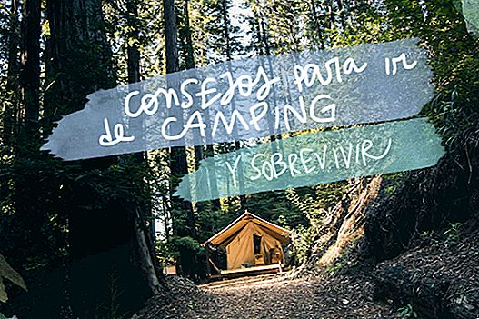 TIPS TO GO CAMPING (AND SURVIVE TO COUNT IT)