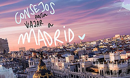 TIPS FOR TRAVELING TO MADRID (AND NOT FALLING IT)