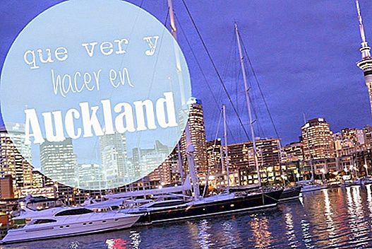 THINGS TO SEE AND DO IN AUCKLAND