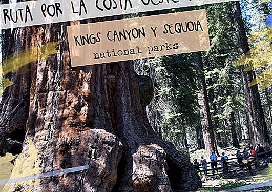 USA Lääneriik 2. etapp: Sequoia ja kuninglikud kanjonid