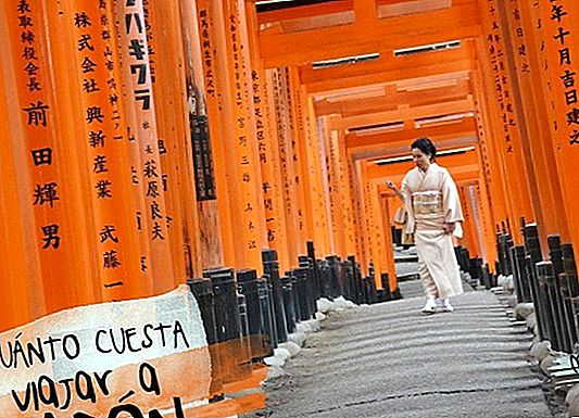 HOW MUCH DOES IT COST TO TRAVEL TO JAPAN? BUDGET FOR A 15-DAY TRIP