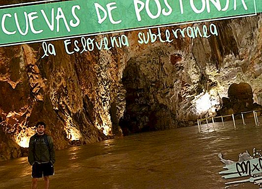 POSTONJA 동굴 : 지하 슬로베니아