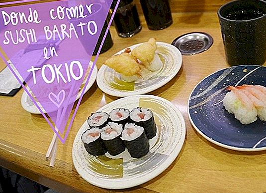 WHERE TO EAT SUSHI CHEAP IN TOKYO