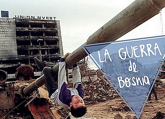 UNDERSTANDING: THE WAR OF BOSNIA
