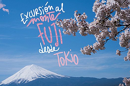 FUJI MOUNTAIN EXCURSION VON TOKYO (KOSTENLOS UND TOUR)