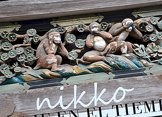 EXCURSION TO NIKKO FROM TOKYO (FREE AND ON TOUR)