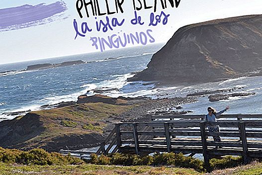 EXCURSION TO PHILLIP ISLAND: THE PENGUIN ISLANDS