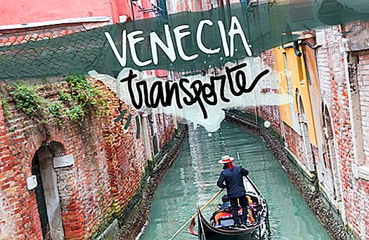 VENICE TRANSPORTATION GUIDE: HOW TO GET THERE AND HOW TO MOVE