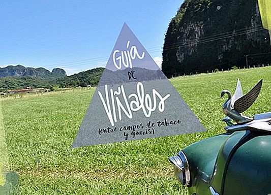 VIÑALES GUIDE, WHAT TO DO IN THE RURAL CUBA