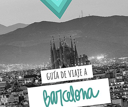 TRAVEL GUIDE TO BARCELONA: ALL THE INFORMATION YOU NEED