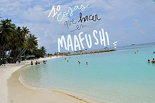 TRAVEL GUIDE TO MAAFUSHI: WHAT TO DO AND USEFUL INFO