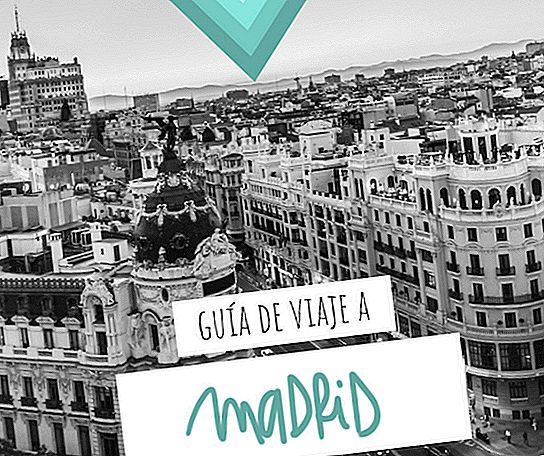 TRAVEL GUIDE TO MADRID: ALL THE INFORMATION YOU NEED