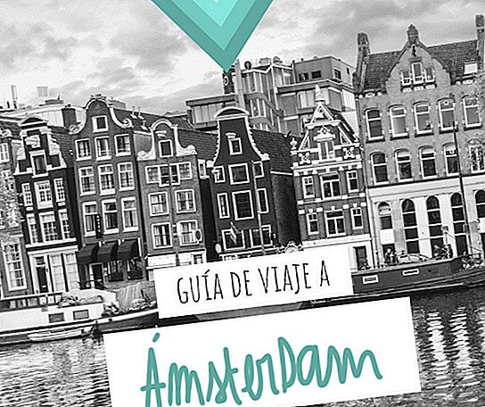 TRAVEL GUIDE TO AMSTERDAM: ALL THE INFORMATION YOU NEED