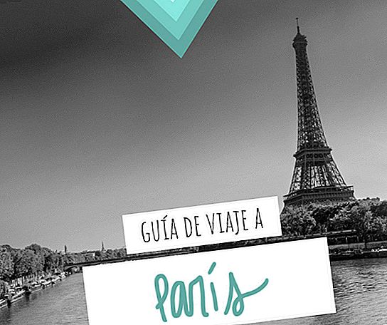 TRAVEL GUIDE TO PARIS: ALL THE INFORMATION YOU NEED