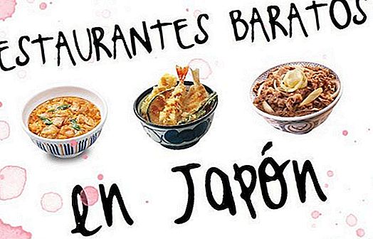 JAPANISCHER FAST FOOD DEFINITIVE GUIDE