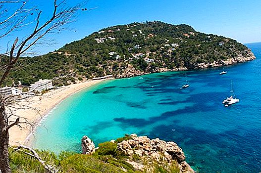 IBIZA GUIDE TIL BACKPACKERS