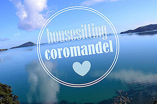 HOUSESITTING-TIME: COROMANDEL