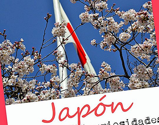 JAPAN: PRVI PUTI I KURIOSITIJE