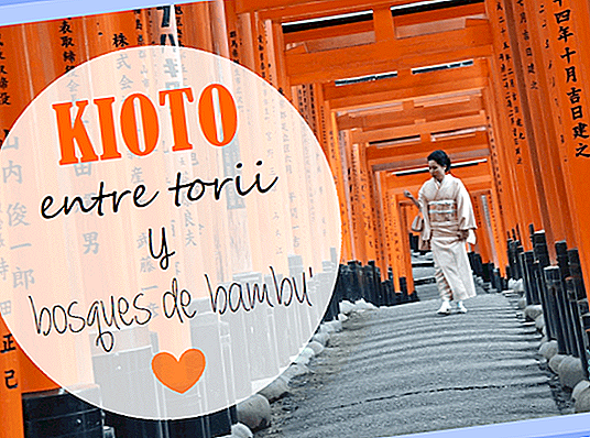 Kioto (II): między lasami TORIIS i BAMBOO