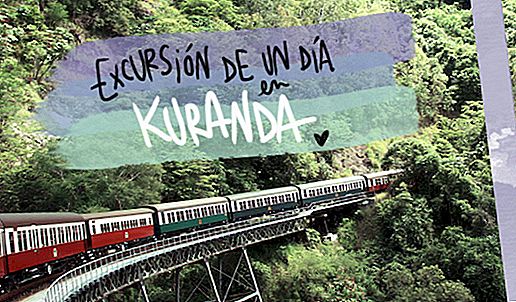 KURANDA RAINFOREST: EXCURSION OF A DAY FROM CAIRNS