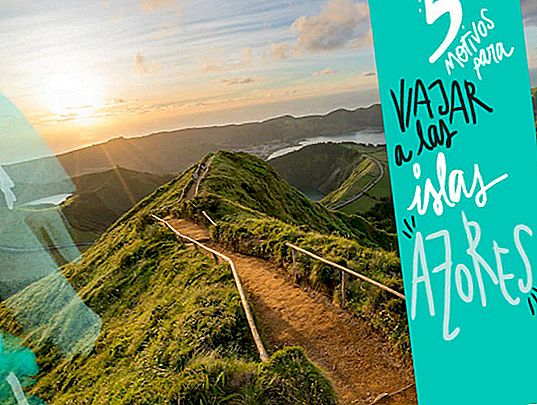 THE BEST THINGS TO SEE AND DO IN THE AZORES ISLANDS