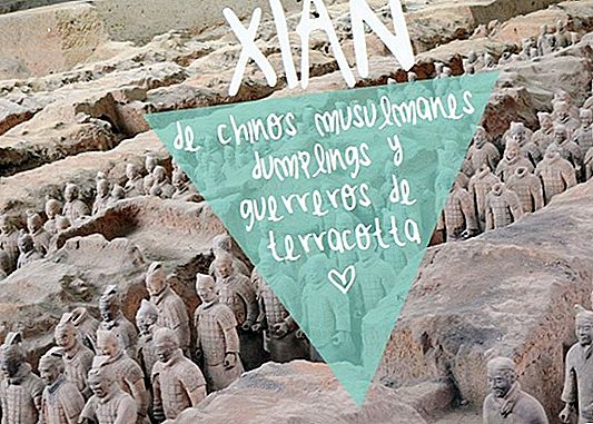 De bedste ting at se og gøre i Xian