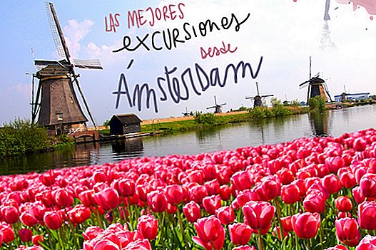THE BEST EXCURSIONS FROM AMSTERDAM (ONE DAY)