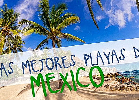 THE BEST BEACHES IN MEXICO