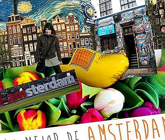 THE BEST OF AMSTERDAM, OUR TOP 10