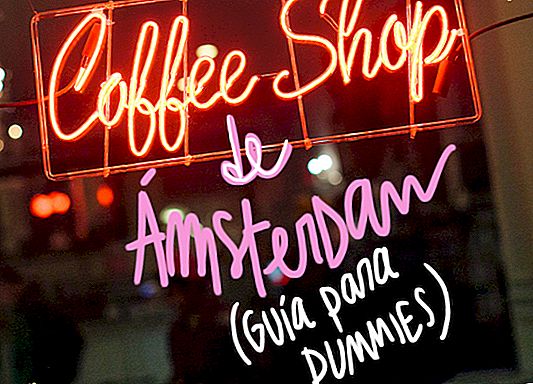 DIE BESTEN KAFFEESHOPS IN AMSTERDAM: LEITFADEN ZU DUMMIES