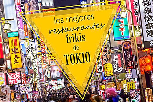 TOKYO'S BESTE FRIKIS RESTAURANTER