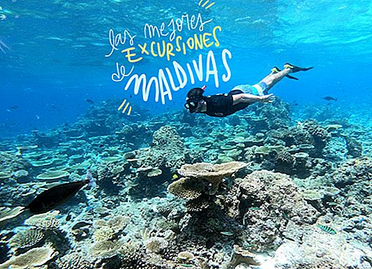 THE BEST TOURS AND EXCURSIONS OF MALDIVAS (FROM MAAFUSHI)