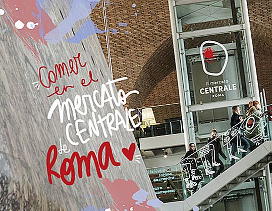 MERCATO CENTRALE ROMA AND ITS RESTAURANTS: ALL THE INFO
